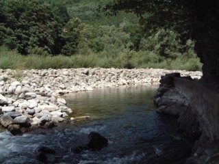  Image name: fiume3.jpg 
 width: 320 pixel 
 height: 240 pixel 
 Size: 28303 bytes 
 Click to enlarge 